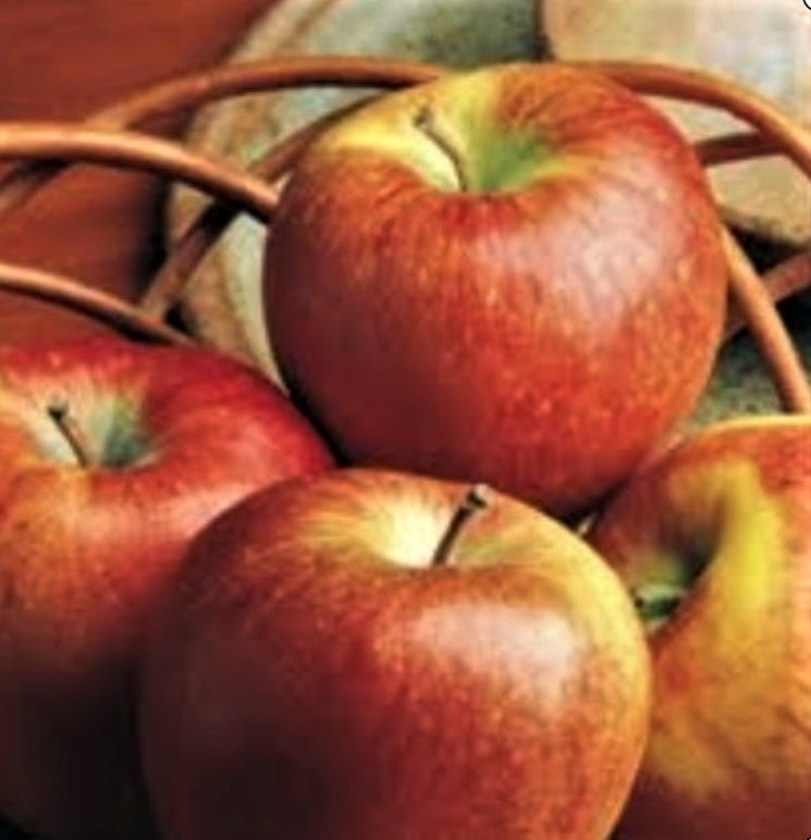 Apple Varieties | Easy Pickin's Orchard 46 BaileyRoad - Enfield,CT